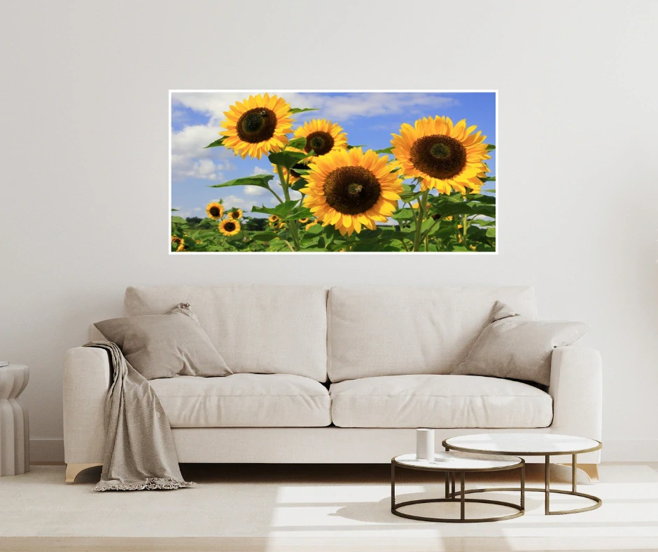 Topný obraz 800W-05 - skleněný bez rámu