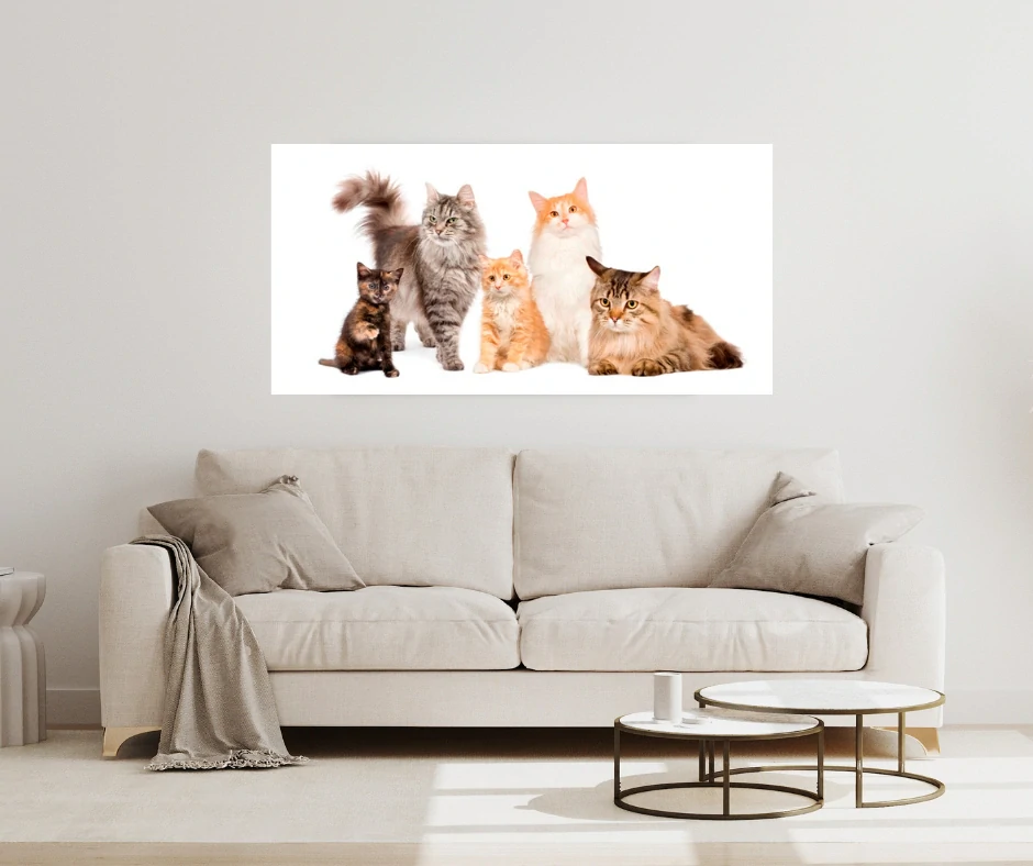 Topný obraz 800W-09 - skleněný bez rámu