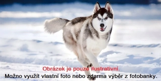 Topný obraz 800W - Libovolný motiv