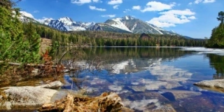 Topný obraz 800W-02